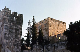 cit tours
